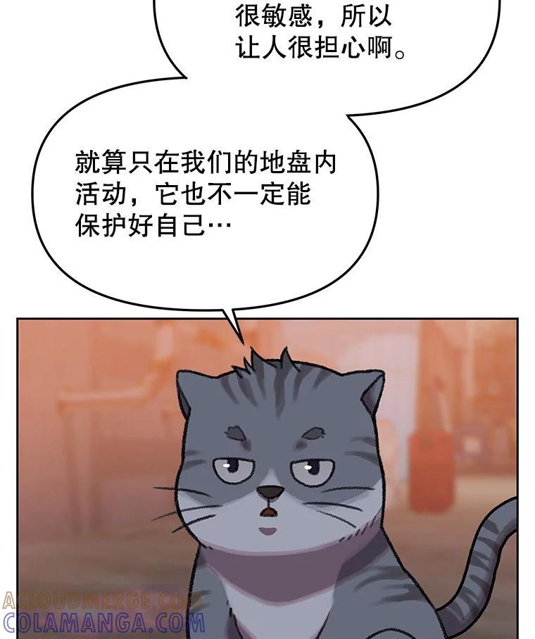 《彩虹桥守望者》146.小流浪猫 第70页