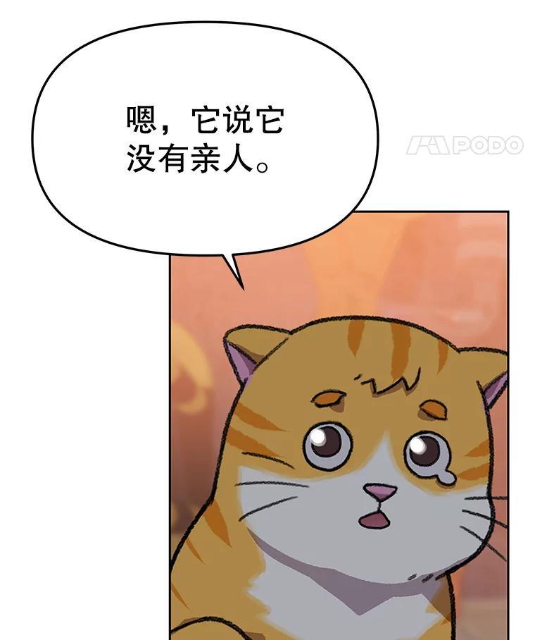 《彩虹桥守望者》146.小流浪猫 第68页