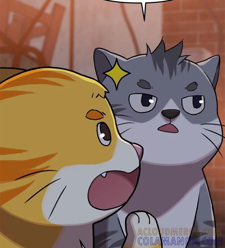 《彩虹桥守望者》146.小流浪猫 第88页
