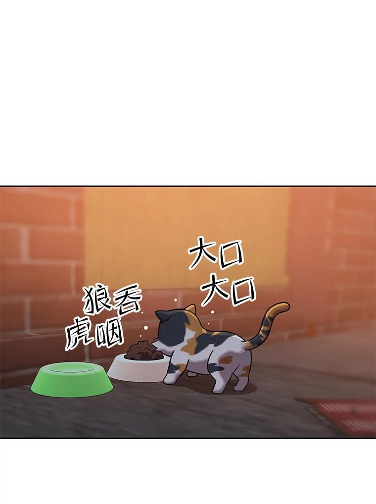 《彩虹桥守望者》146.小流浪猫 第62页