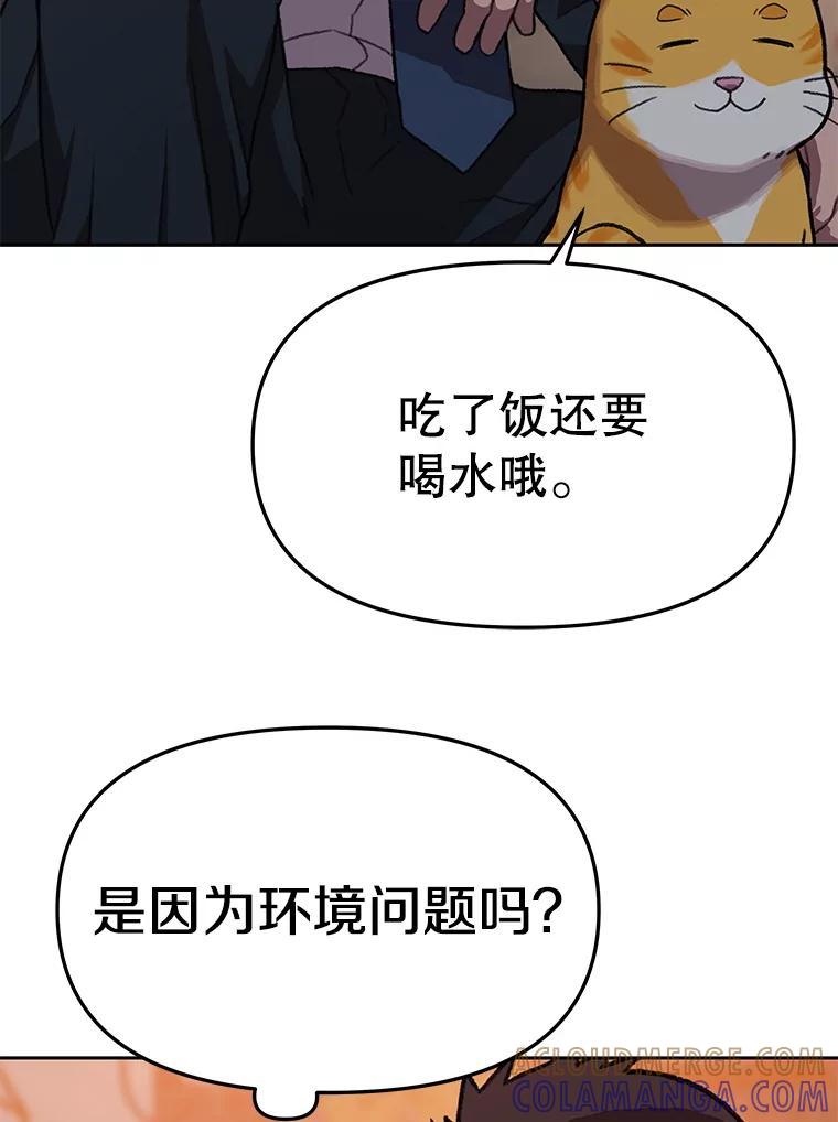 《彩虹桥守望者》146.小流浪猫 第64页