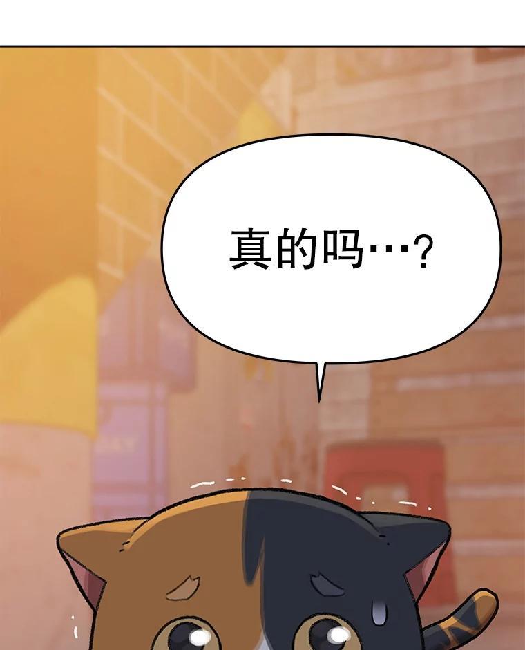 《彩虹桥守望者》146.小流浪猫 第59页