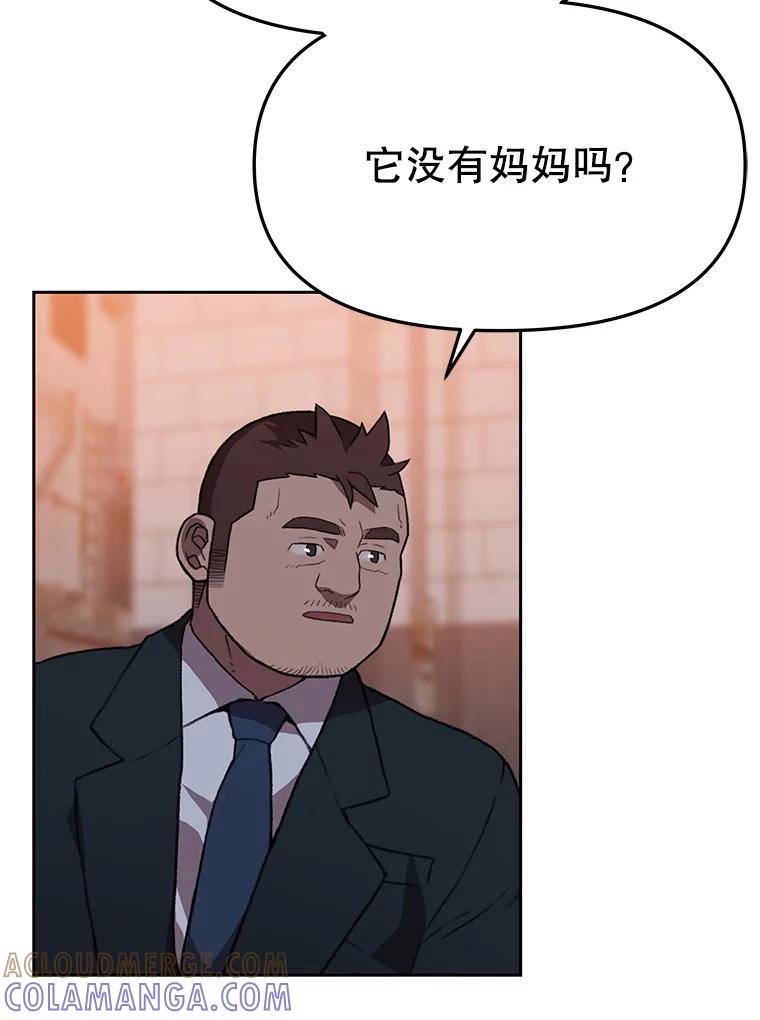 《彩虹桥守望者》146.小流浪猫 第67页