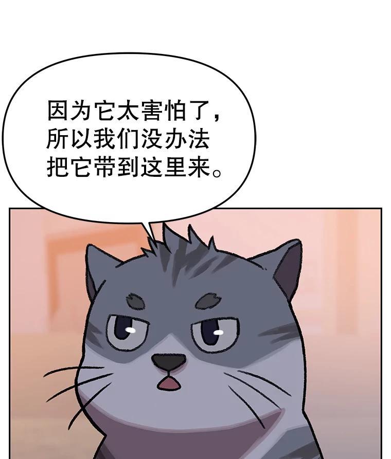 《彩虹桥守望者》146.小流浪猫 第35页