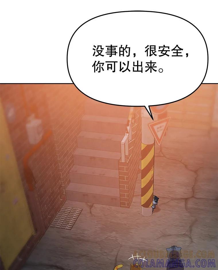 《彩虹桥守望者》146.小流浪猫 第55页