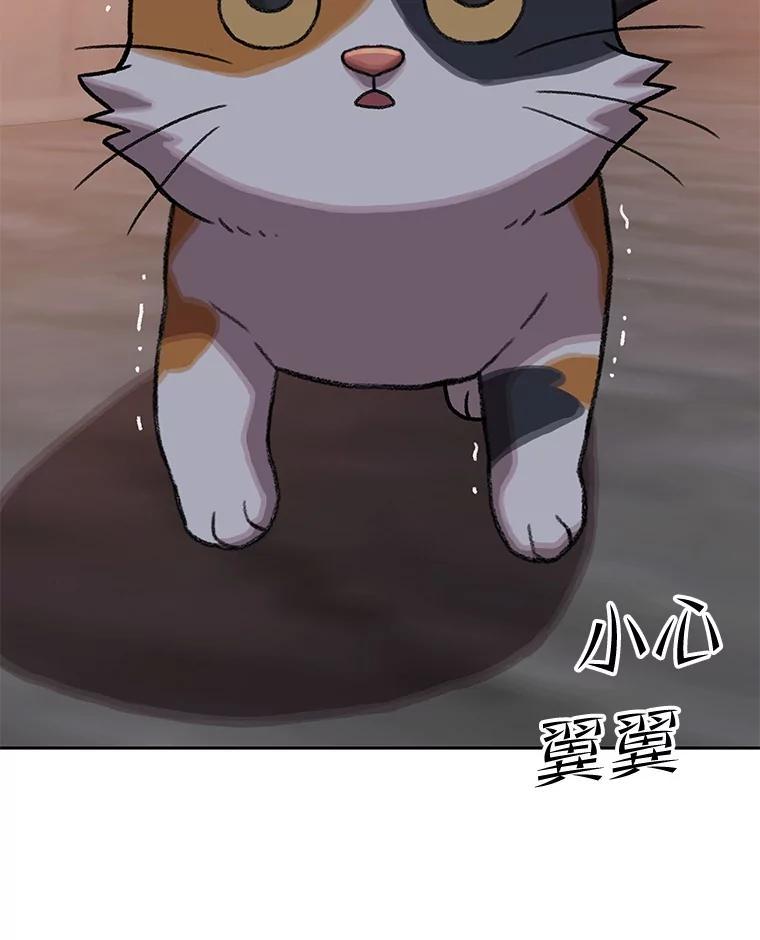 《彩虹桥守望者》146.小流浪猫 第60页
