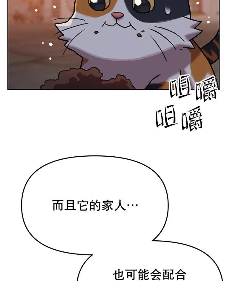 《彩虹桥守望者》146.小流浪猫 第77页