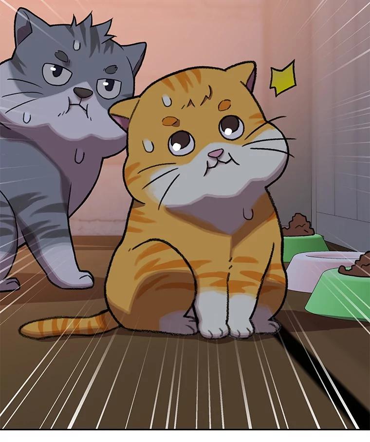 《彩虹桥守望者》146.小流浪猫 第27页