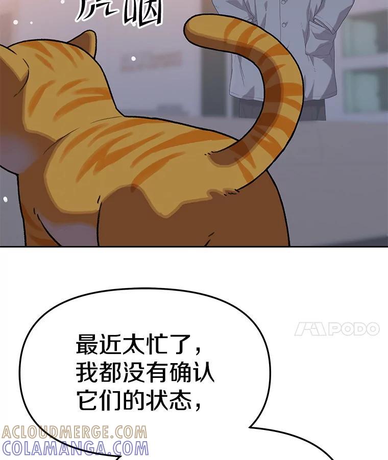《彩虹桥守望者》146.小流浪猫 第22页