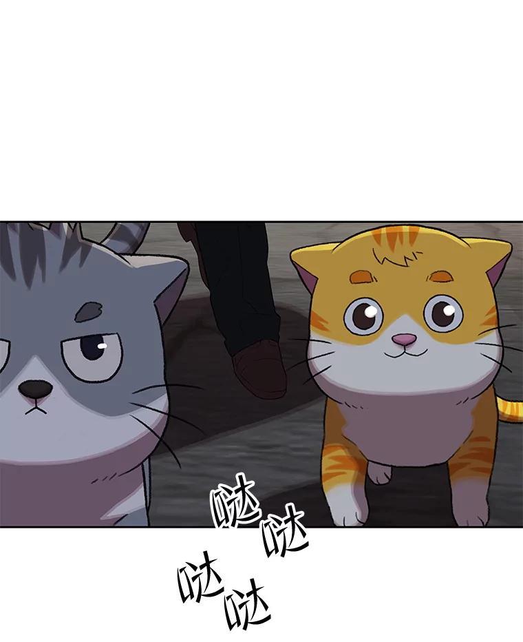 《彩虹桥守望者》146.小流浪猫 第48页