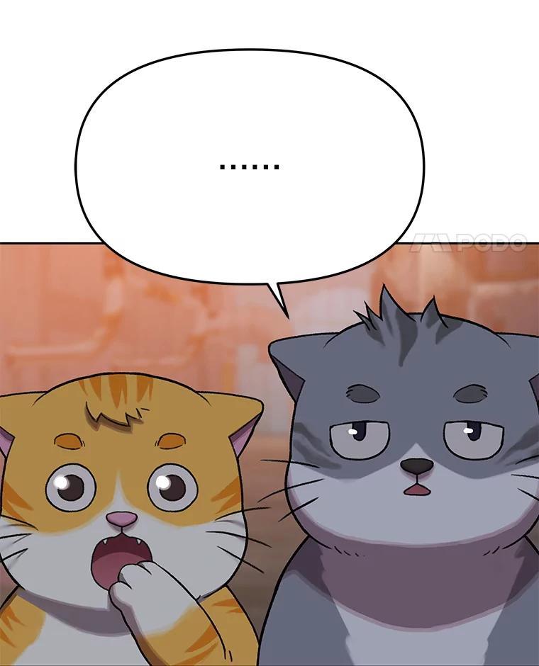《彩虹桥守望者》146.小流浪猫 第75页