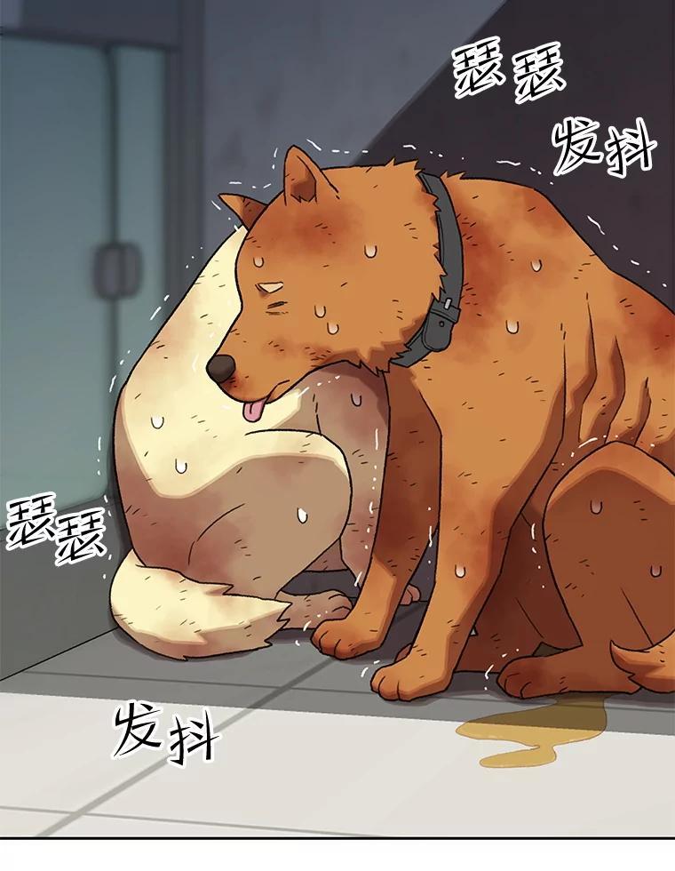 《彩虹桥守望者》147.找到领养人 第36页