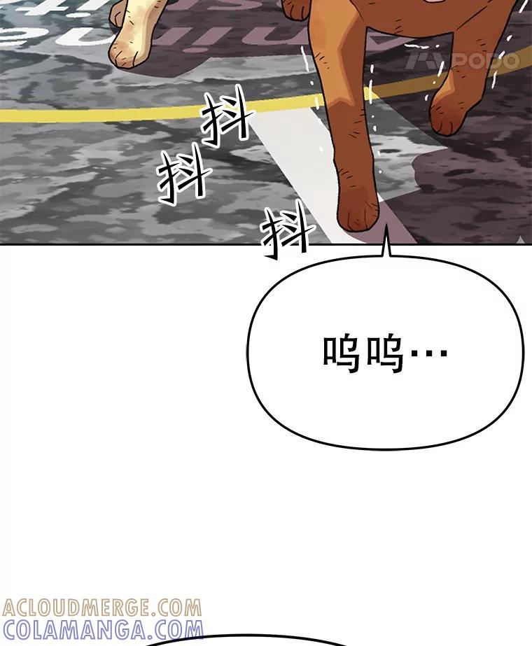《彩虹桥守望者》147.找到领养人 第22页
