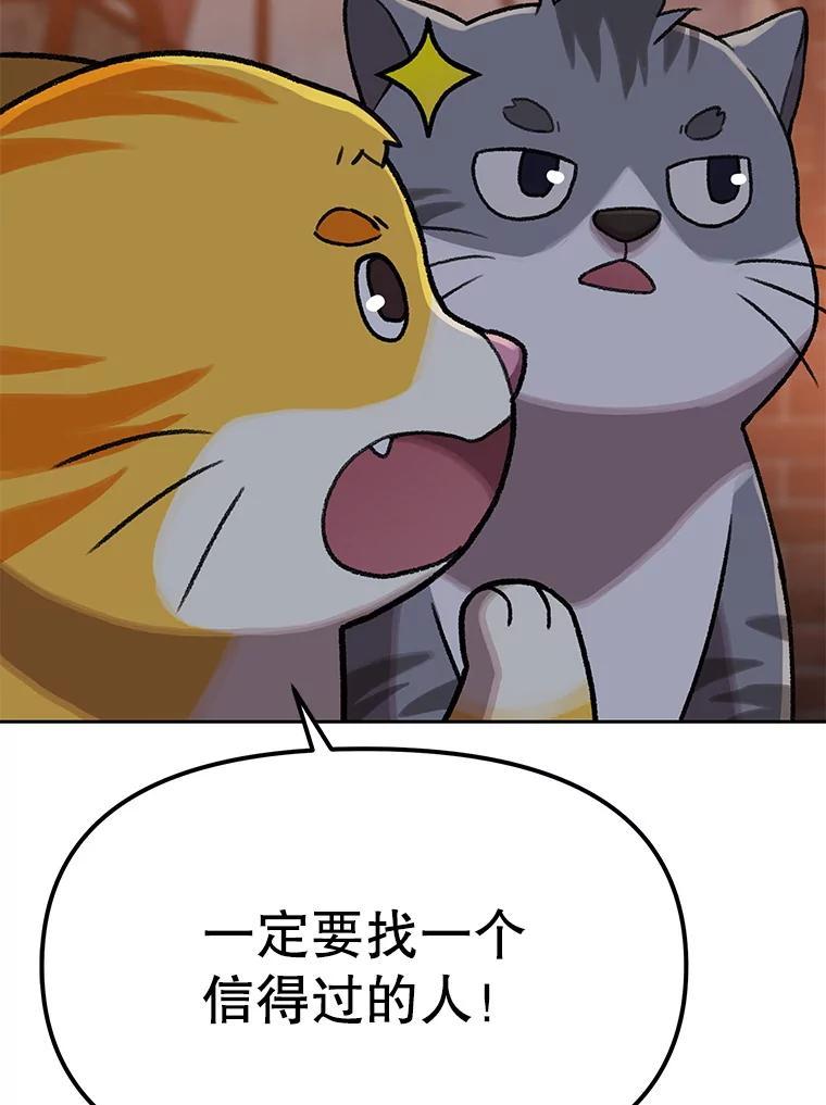 《彩虹桥守望者》147.找到领养人 第2页