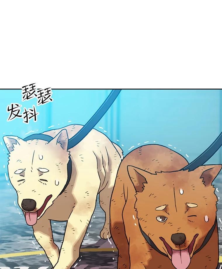 《彩虹桥守望者》147.找到领养人 第21页