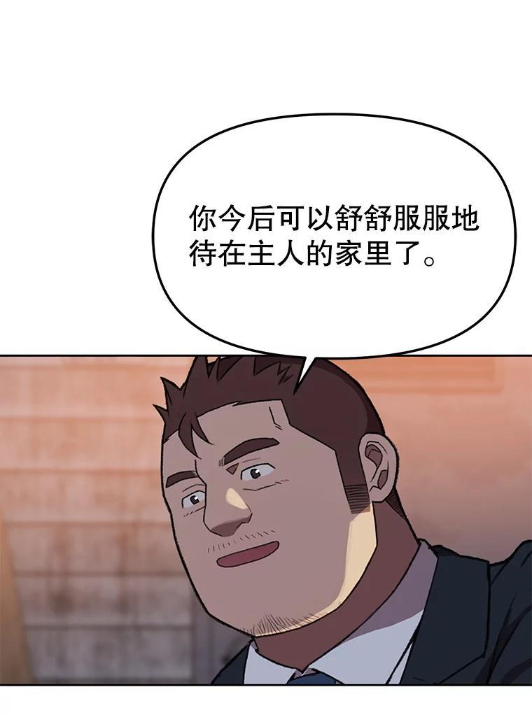 《彩虹桥守望者》147.找到领养人 第62页