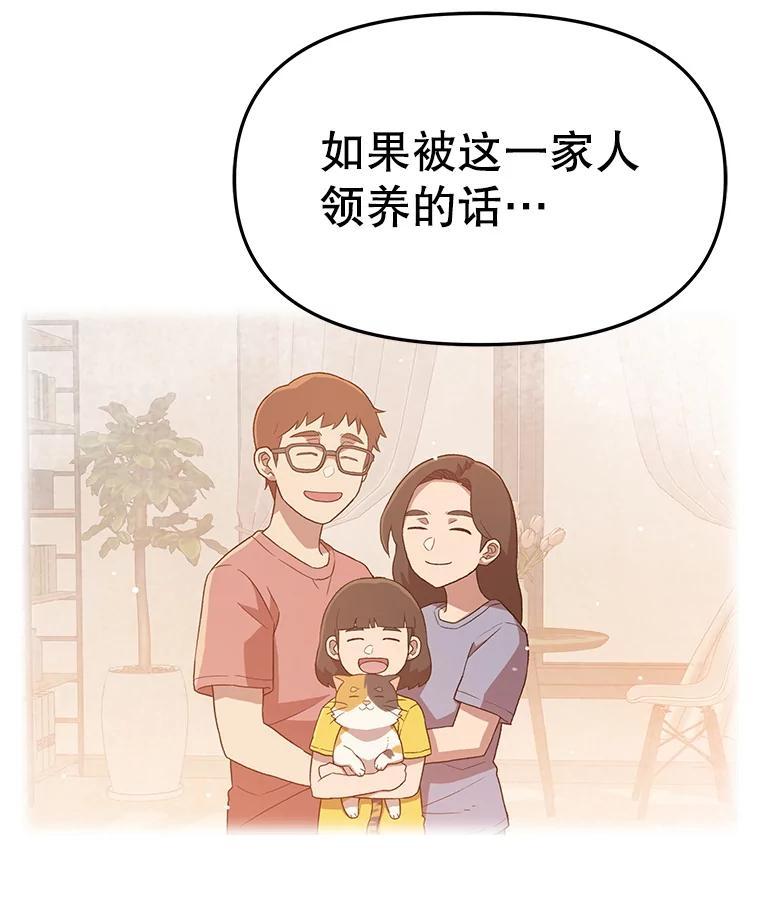 《彩虹桥守望者》147.找到领养人 第56页