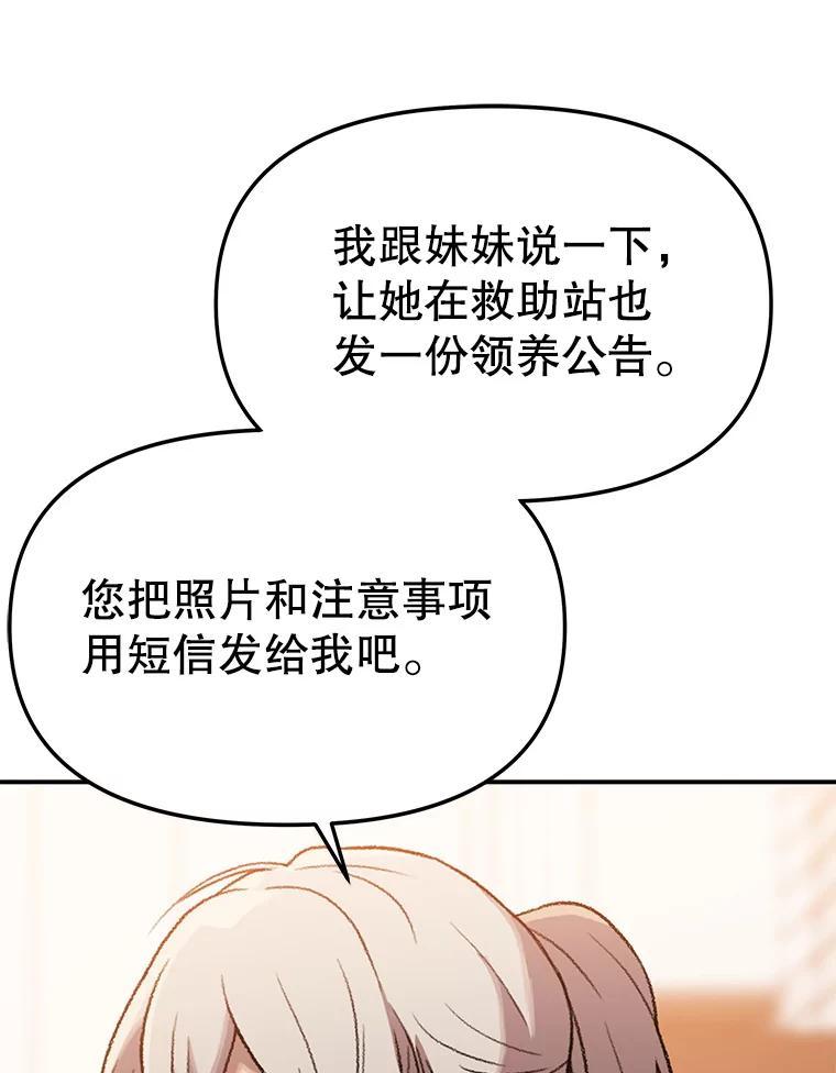 《彩虹桥守望者》147.找到领养人 第11页