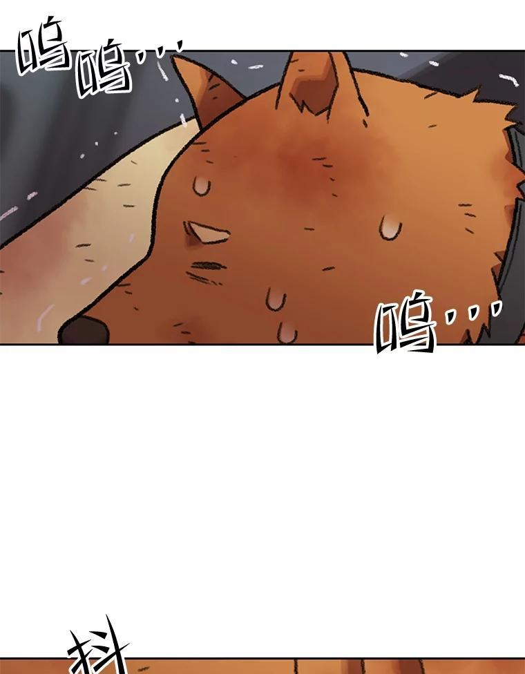 《彩虹桥守望者》147.找到领养人 第33页