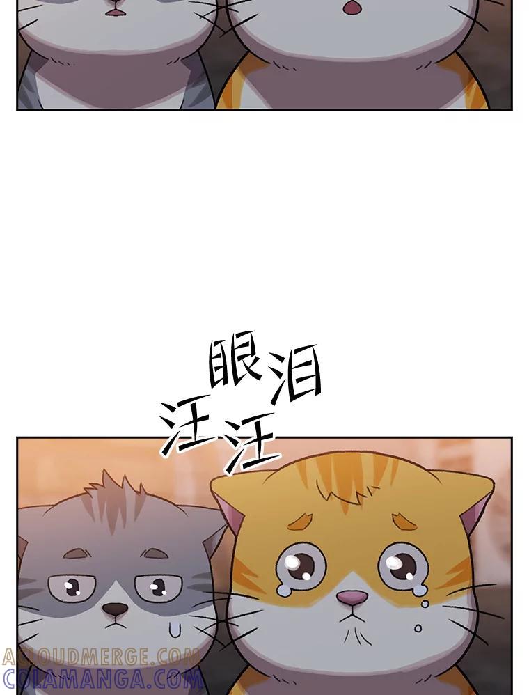 《彩虹桥守望者》148.交接 第16页