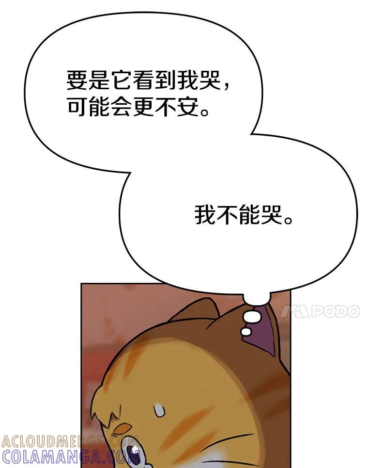 《彩虹桥守望者》148.交接 第7页