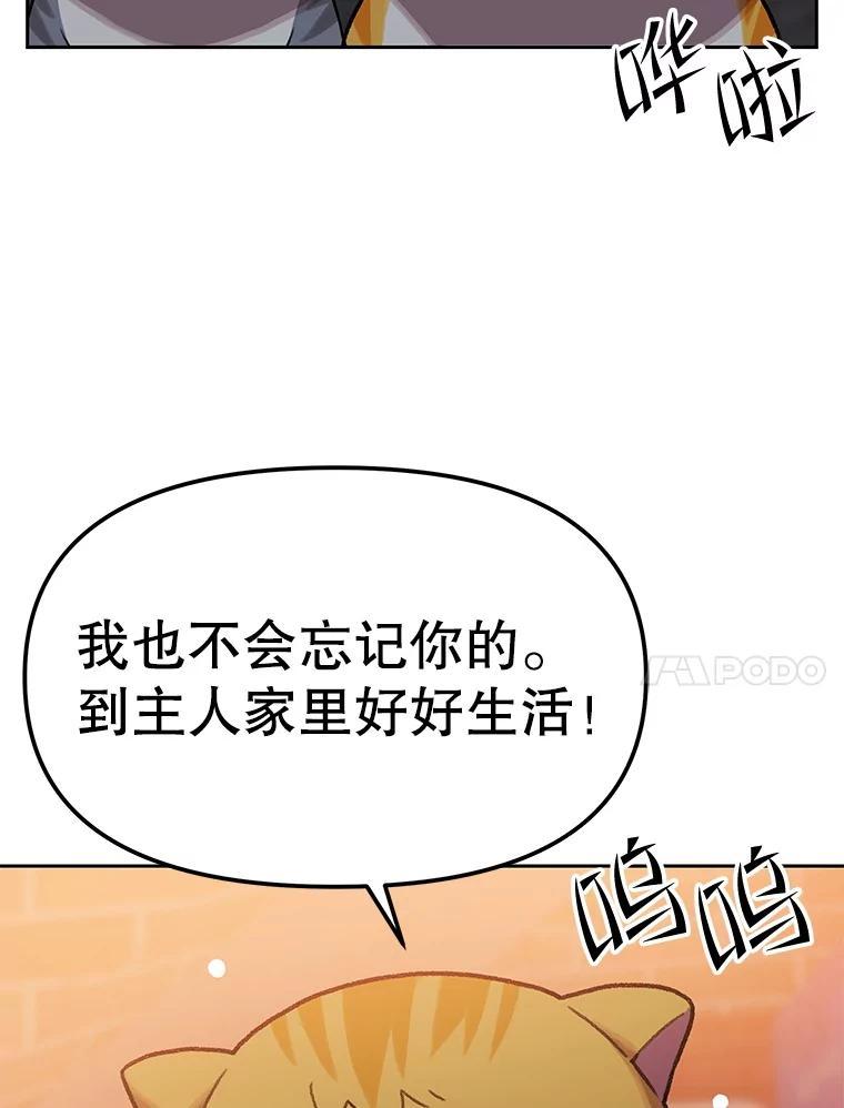 《彩虹桥守望者》148.交接 第17页