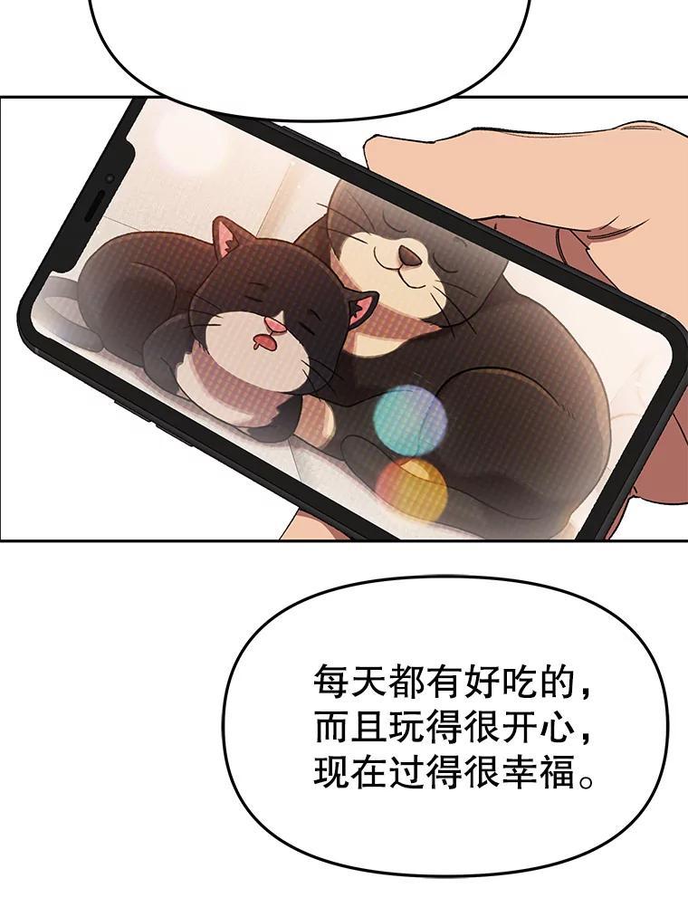 《彩虹桥守望者》148.交接 第51页