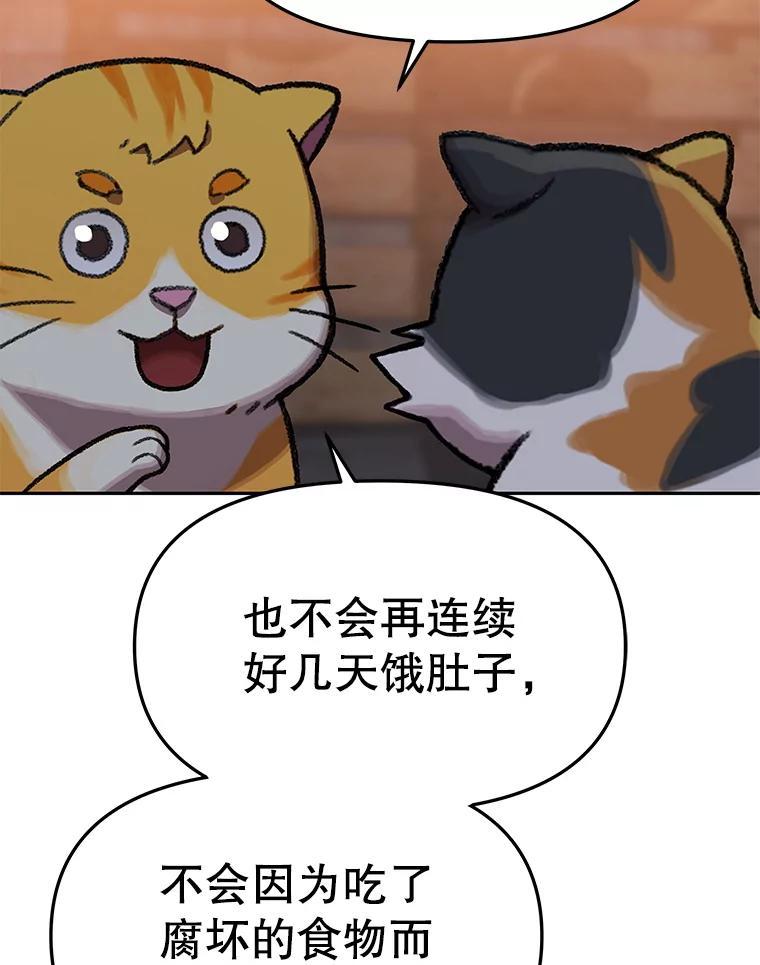 《彩虹桥守望者》148.交接 第9页