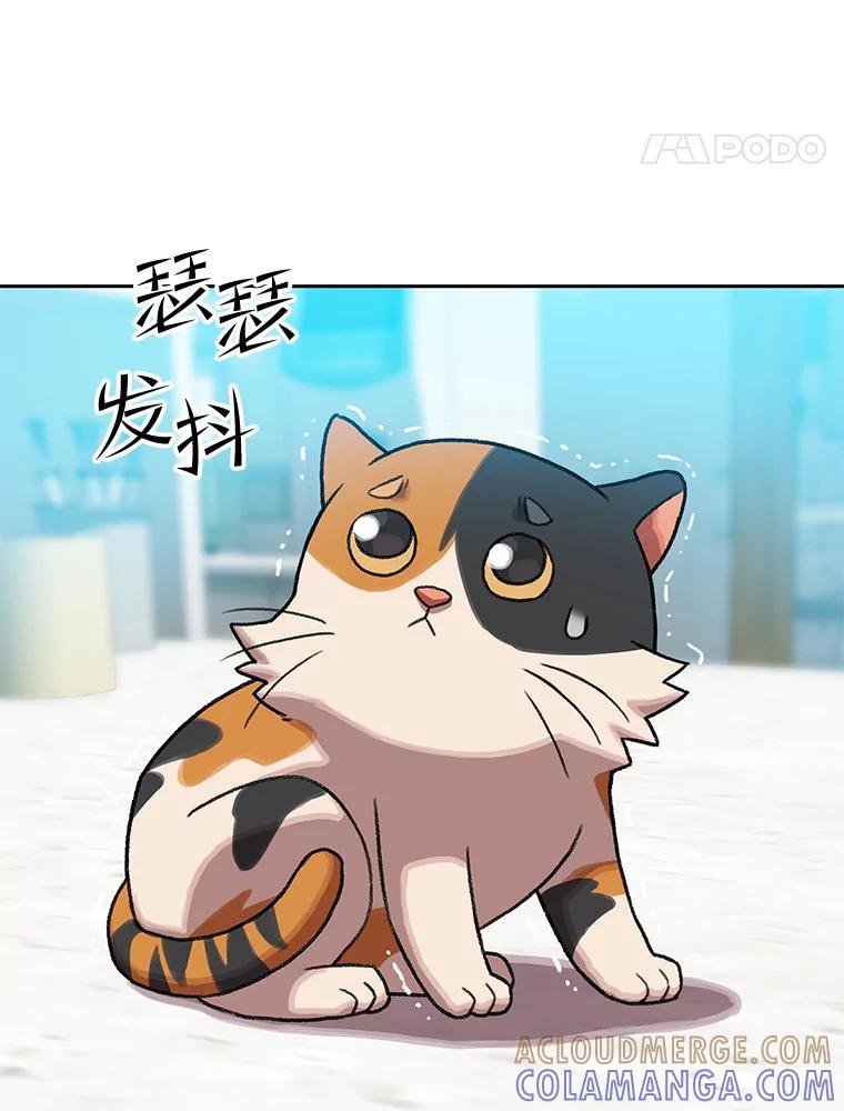 《彩虹桥守望者》148.交接 第46页