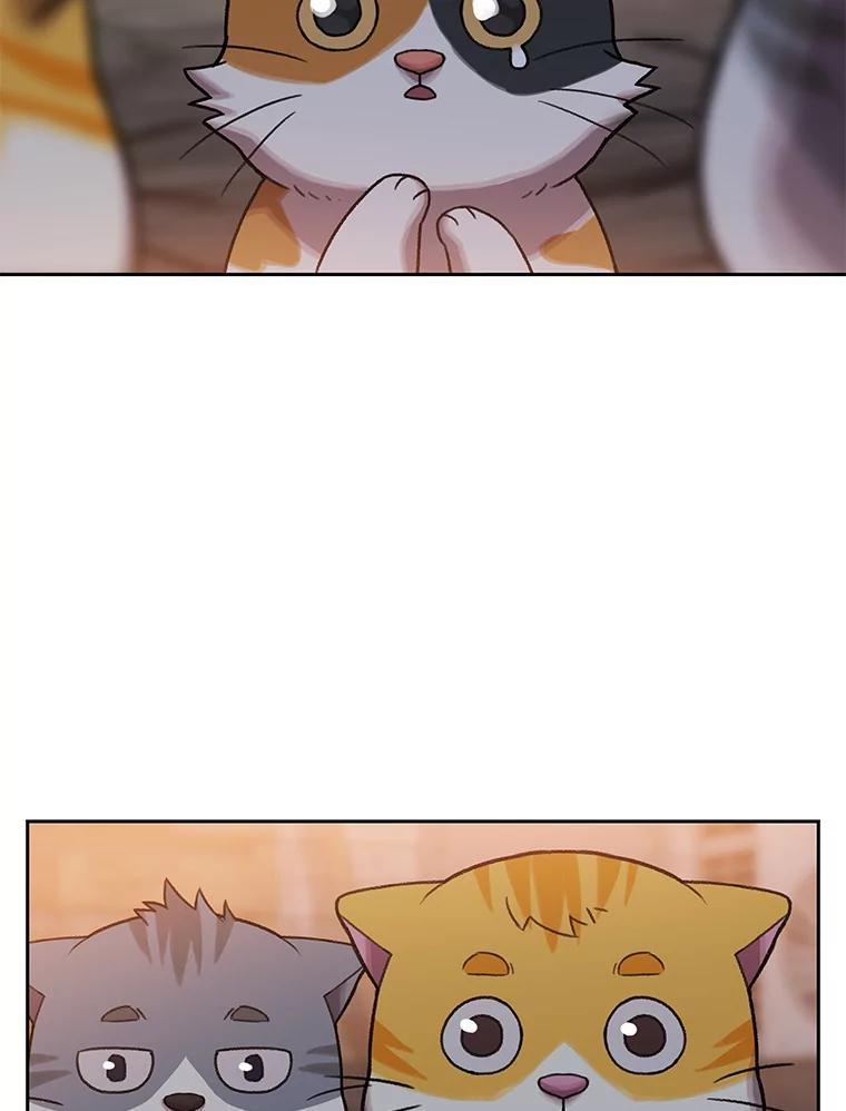 《彩虹桥守望者》148.交接 第15页