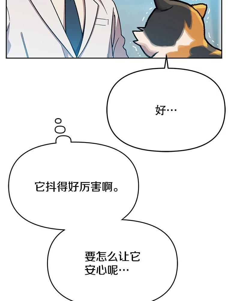 《彩虹桥守望者》148.交接 第48页