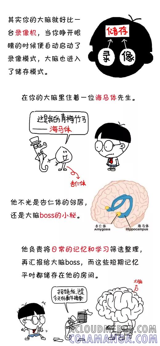 小明系列漫画 第496话 第2页