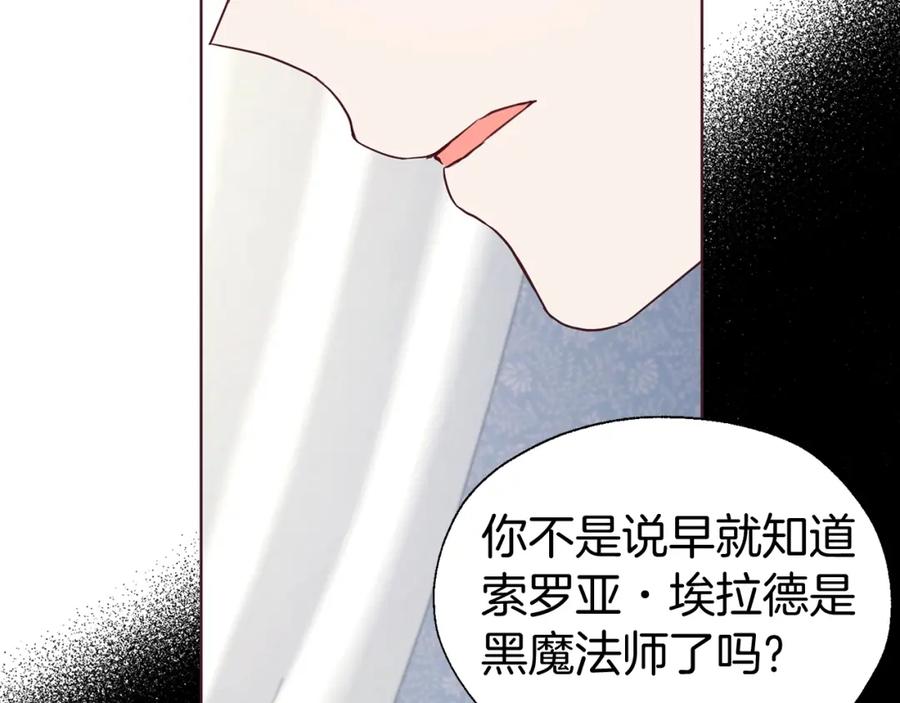 快去搞定铁壁皇帝！ 第100话 要被发现了 第15页