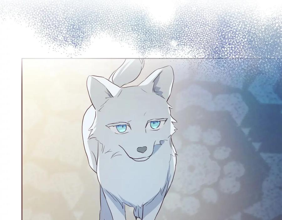 快去搞定铁壁皇帝！ 第102话 恶女的警告 第52页