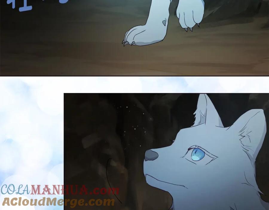快去搞定铁壁皇帝！ 第105话 魔力结界 第45页