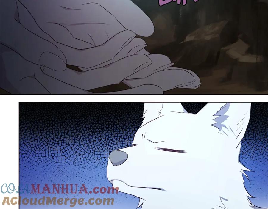快去搞定铁壁皇帝！ 第105话 魔力结界 第49页