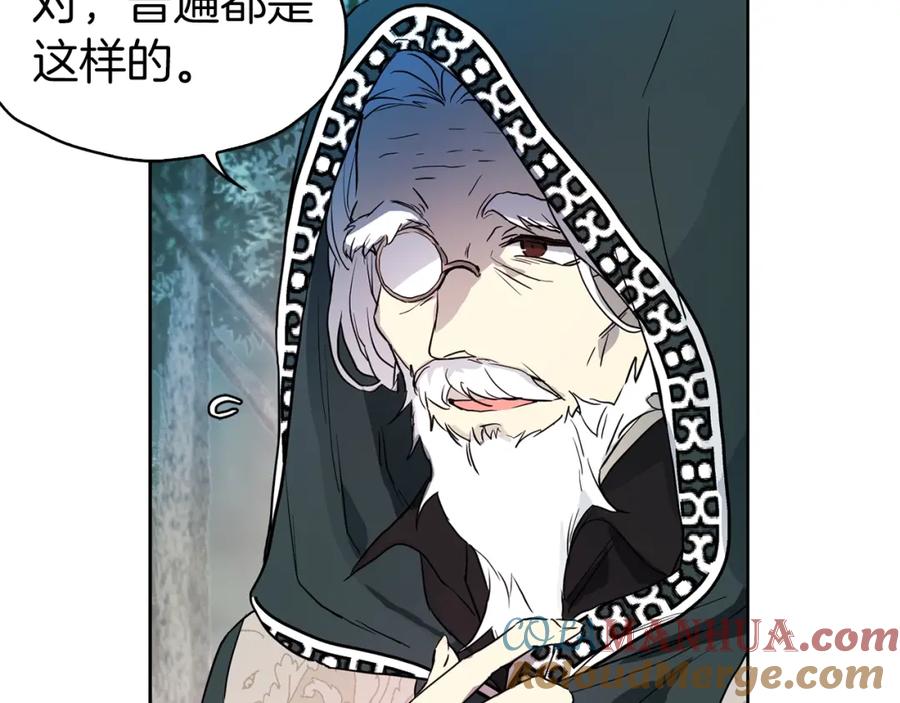 快去搞定铁壁皇帝！ 第9话 寿命不多了 第21页