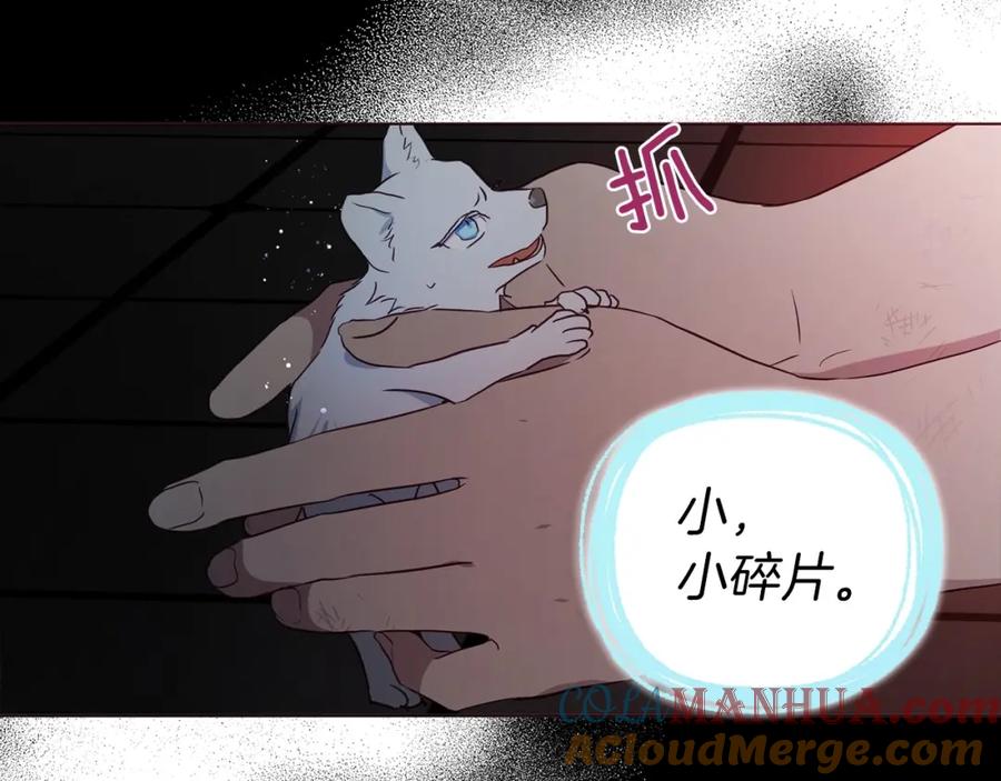 快去搞定铁壁皇帝！ 第108话 没有灵魂的躯壳 第121页