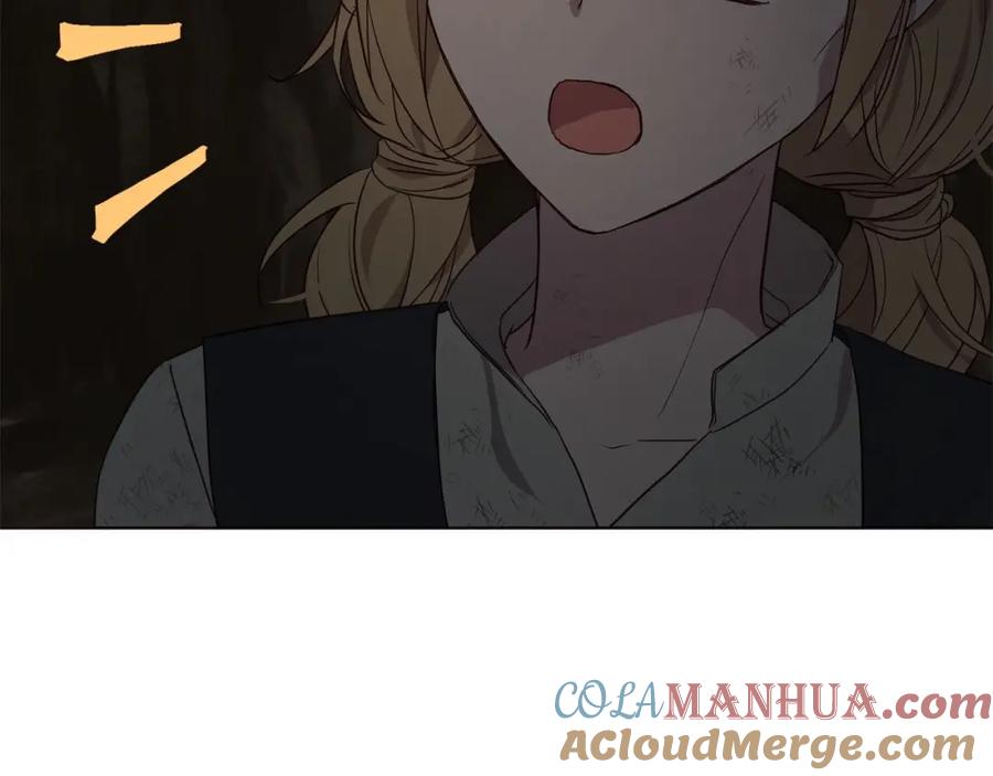 快去搞定铁壁皇帝！ 第111话 圣女 第117页