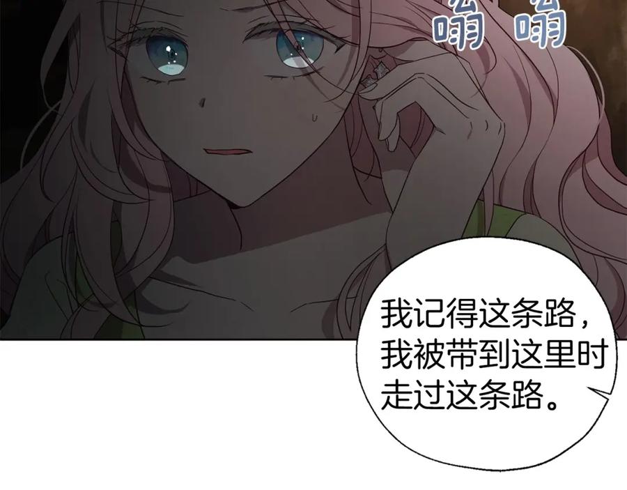 快去搞定铁壁皇帝！ 第112话 近在眼前的出口 第28页