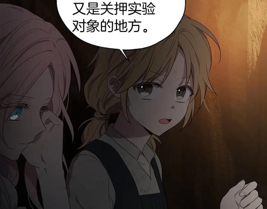 快去搞定铁壁皇帝！ 第112话 近在眼前的出口 第31页