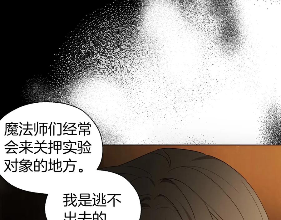 快去搞定铁壁皇帝！ 第112话 近在眼前的出口 第38页