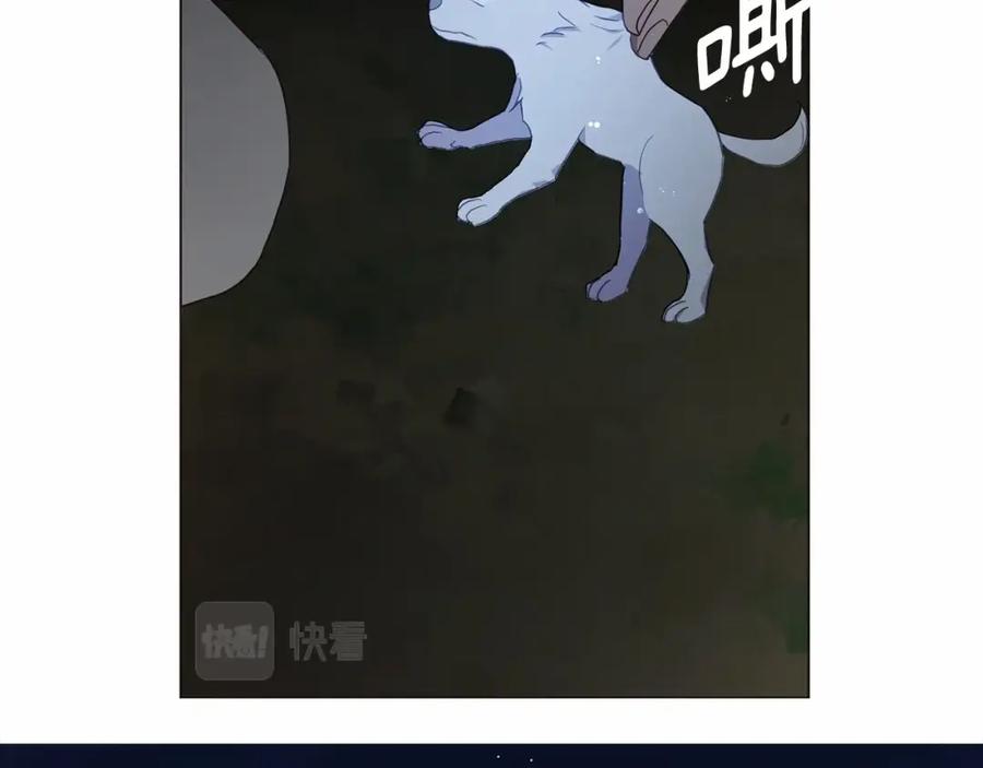 快去搞定铁壁皇帝！ 第113话 近在咫尺 第126页