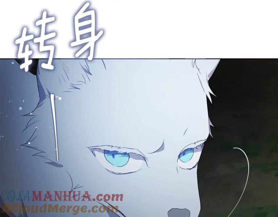 快去搞定铁壁皇帝！ 第113话 近在咫尺 第129页