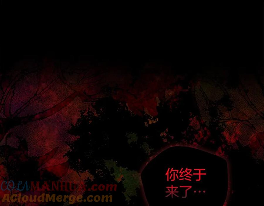快去搞定铁壁皇帝！ 第114话 终于相见！ 第100页