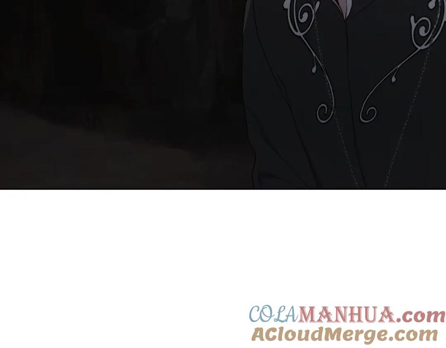 快去搞定铁壁皇帝！ 第117话 隐藏的秘密 第21页