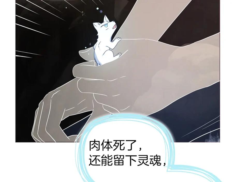快去搞定铁壁皇帝！ 第117话 隐藏的秘密 第114页