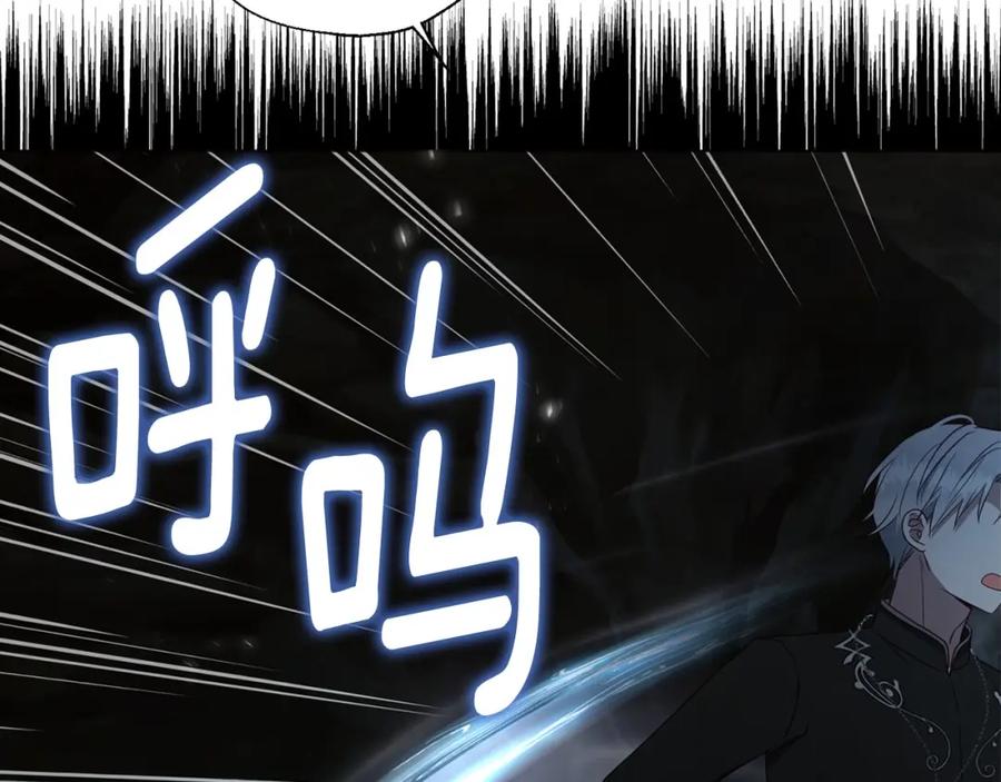 快去搞定铁壁皇帝！ 第119话 合作的条件 第15页