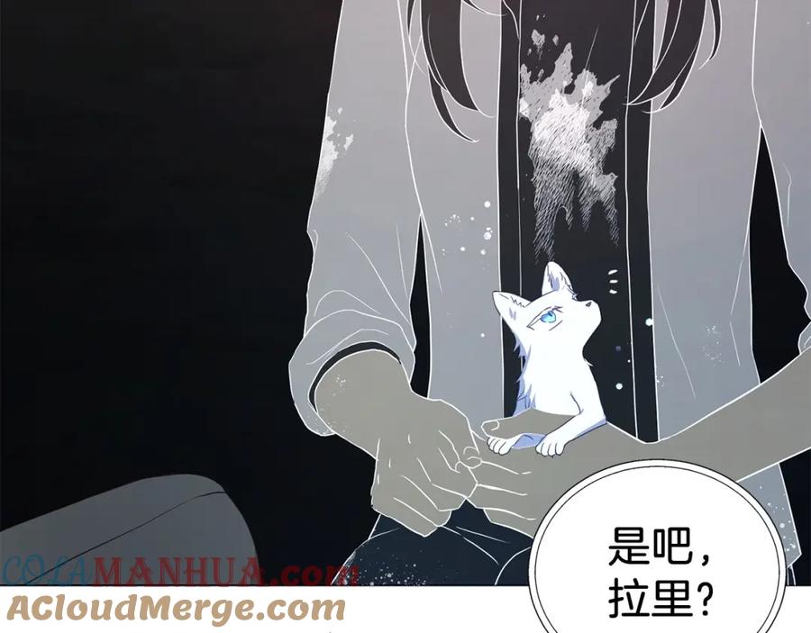 快去搞定铁壁皇帝！ 第119话 合作的条件 第113页