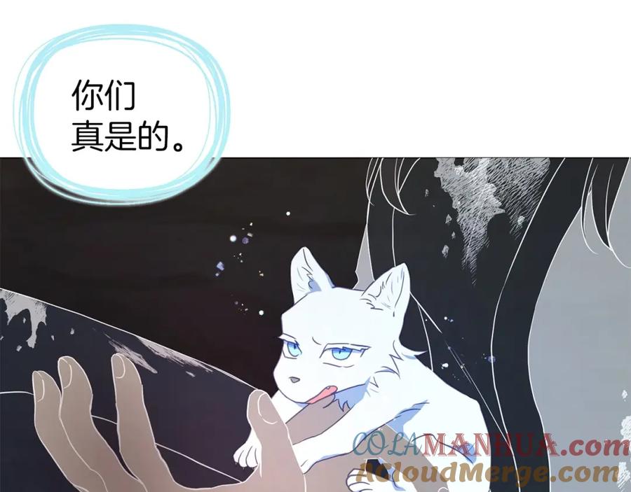 快去搞定铁壁皇帝！ 第119话 合作的条件 第5页